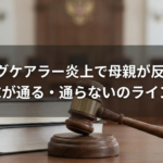 ヤングケアラー炎上で母親が反撃！開示請求が通る・通らないのラインを解説